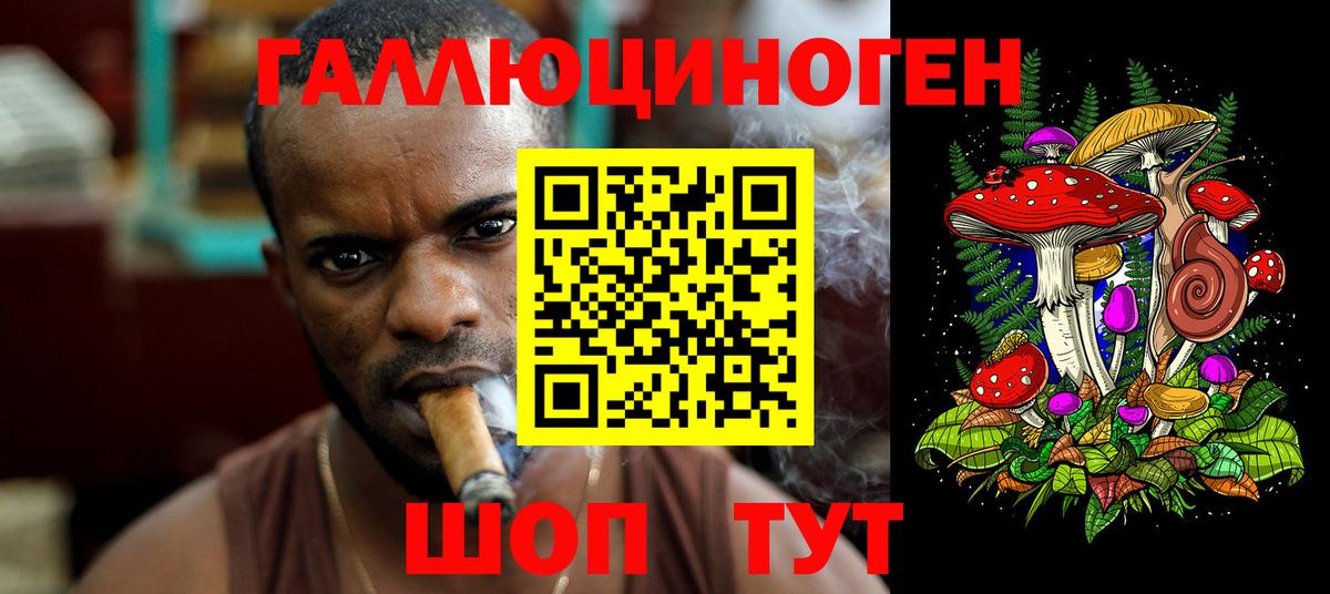 Галлюциногенные грибы Psilocybine cubensis Сызрань